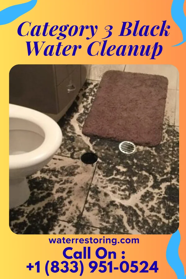 Category 3 Black Water Cleanup in Marshall, WI