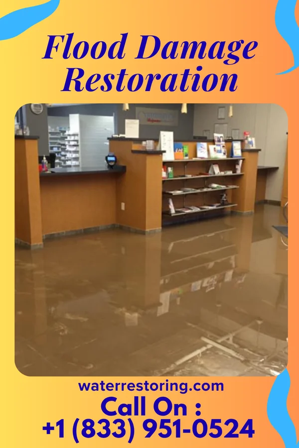 Flood Damage Restoration in Marshall, WI