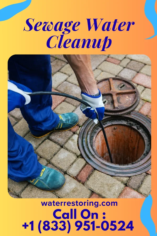 Sewage Water Cleanup in Marshall, WI